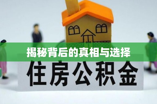 鹿城揭秘背后的真相与选择