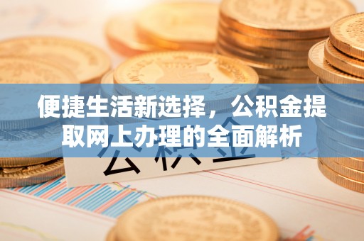 鹿城便捷生活新选择，公积金提取网上办理的全面解析