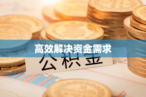 鹿城高效解决资金需求
