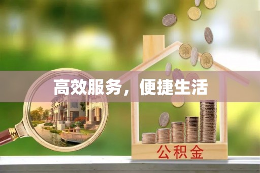 鹿城高效服务，便捷生活